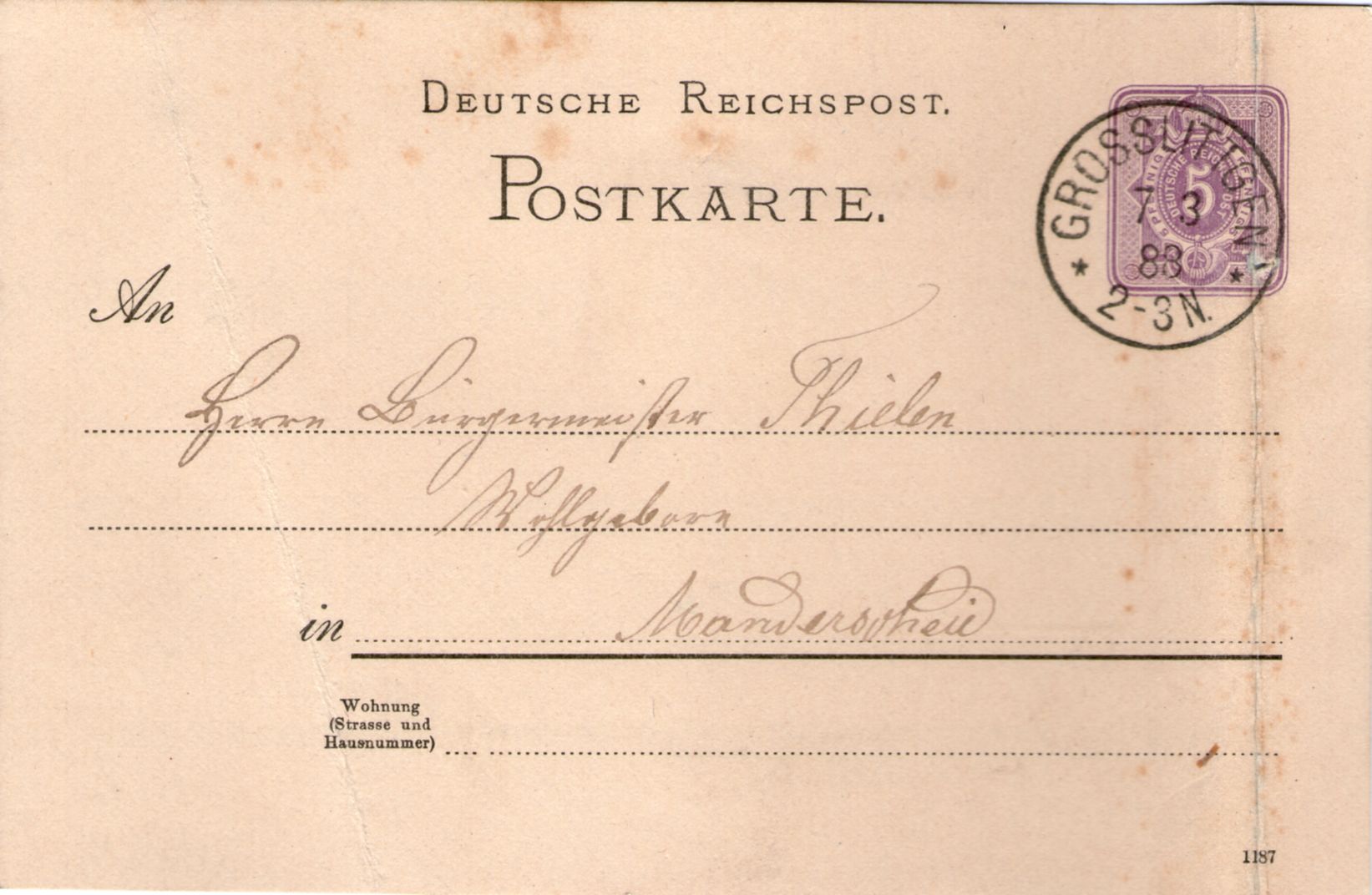 02.T02 - Bild F1