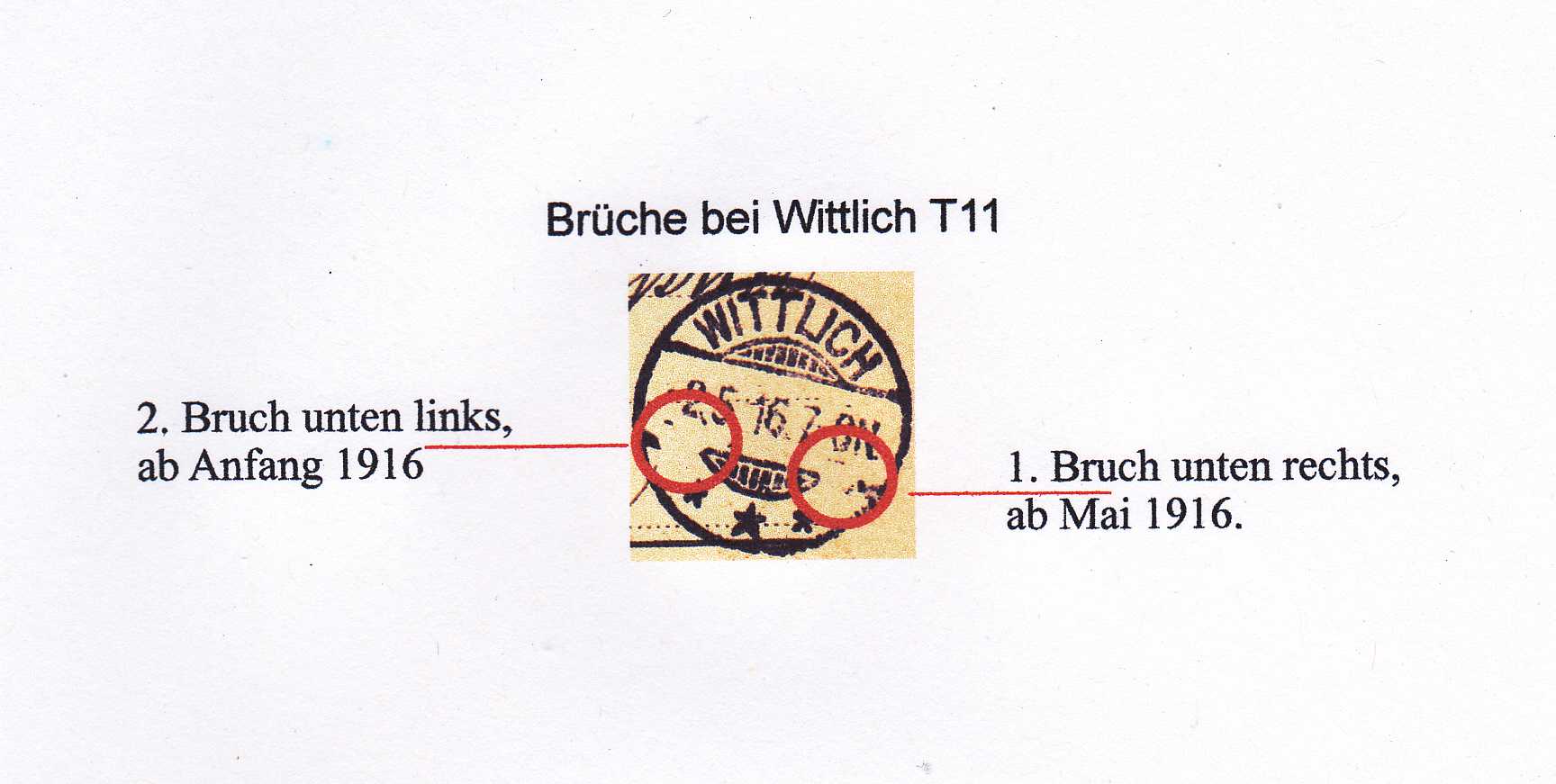 02.T11 - Bild F1