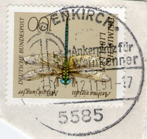 03.W03 - Bild O2