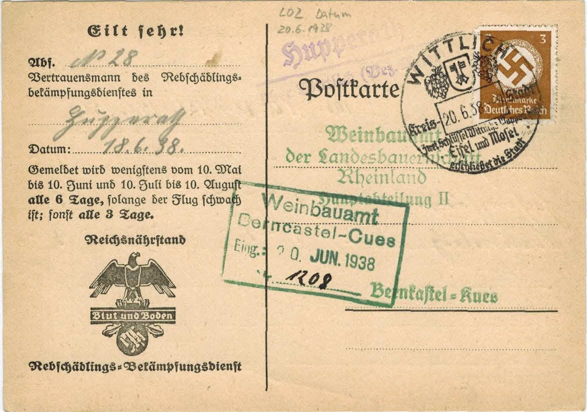 01.L02 - Bild O2